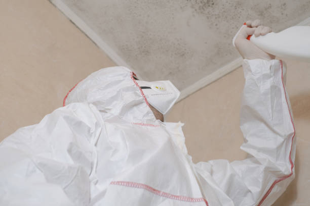 Crawl Space Mold Removal in Clemson University, SC
