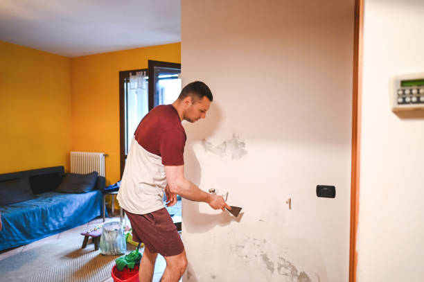 Best Attic Mold Removal  in Clemson University, SC